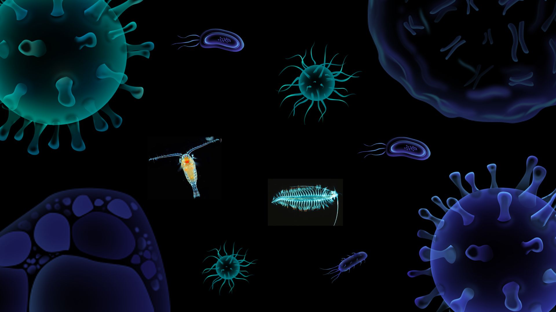 Biological Data image